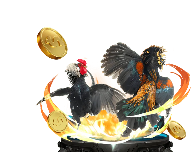 Giao diện cá cược thể thao trực tiếp